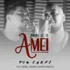 Ton Carfi - Porque Eu Te Amei - Single (feat. Bruno Cardoso) - Single